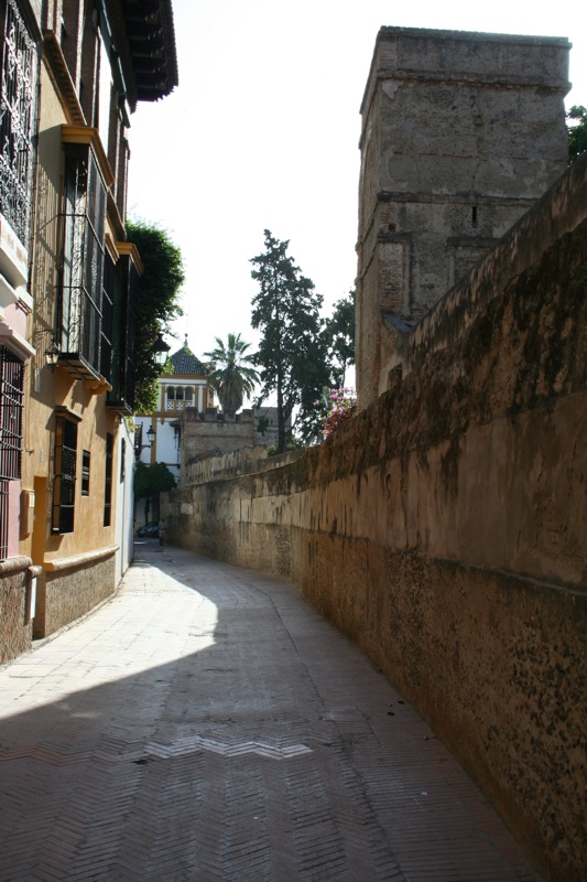 Alcazar walls