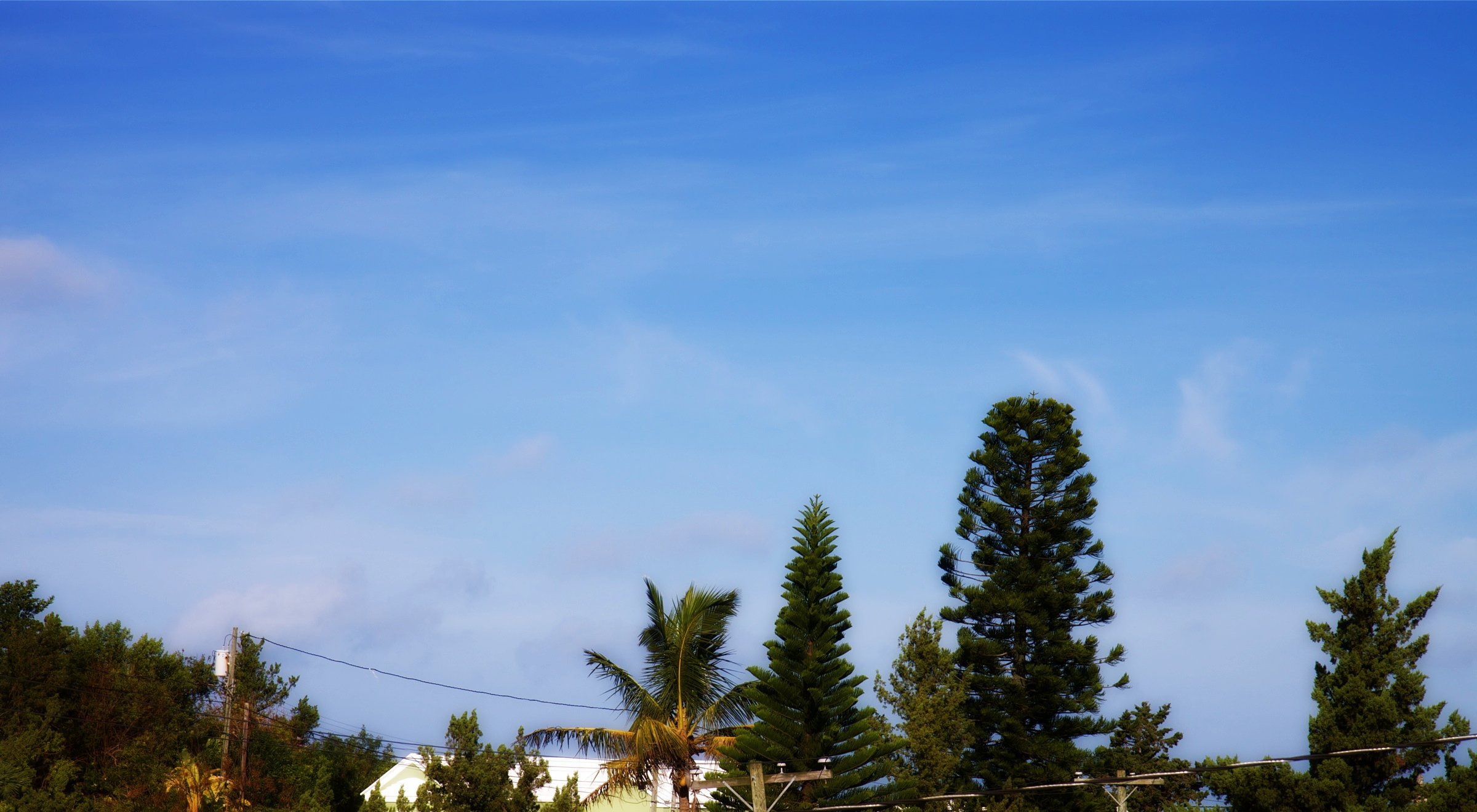Bermuda morning