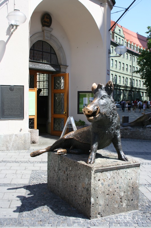 Boar