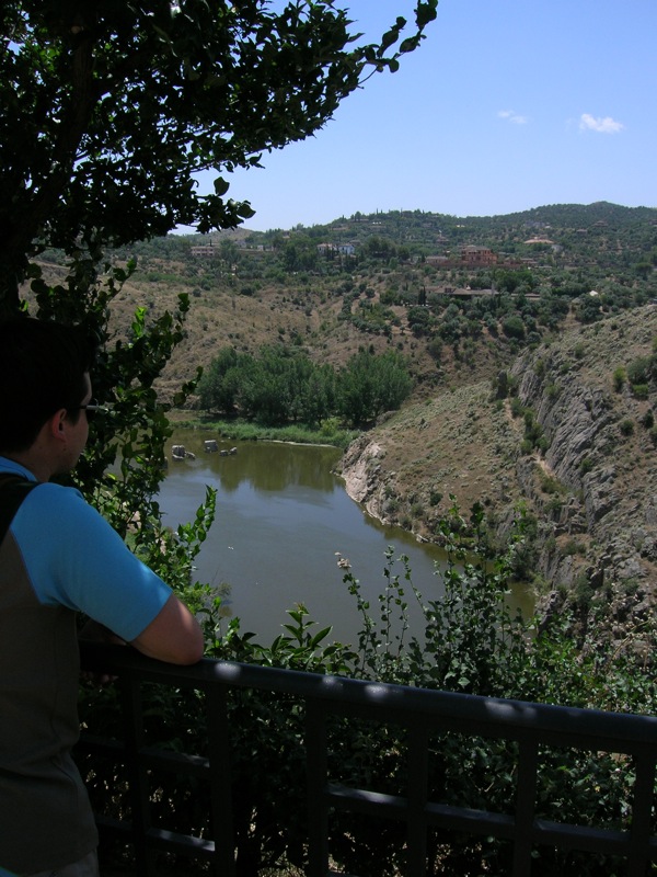 Enjoying the view