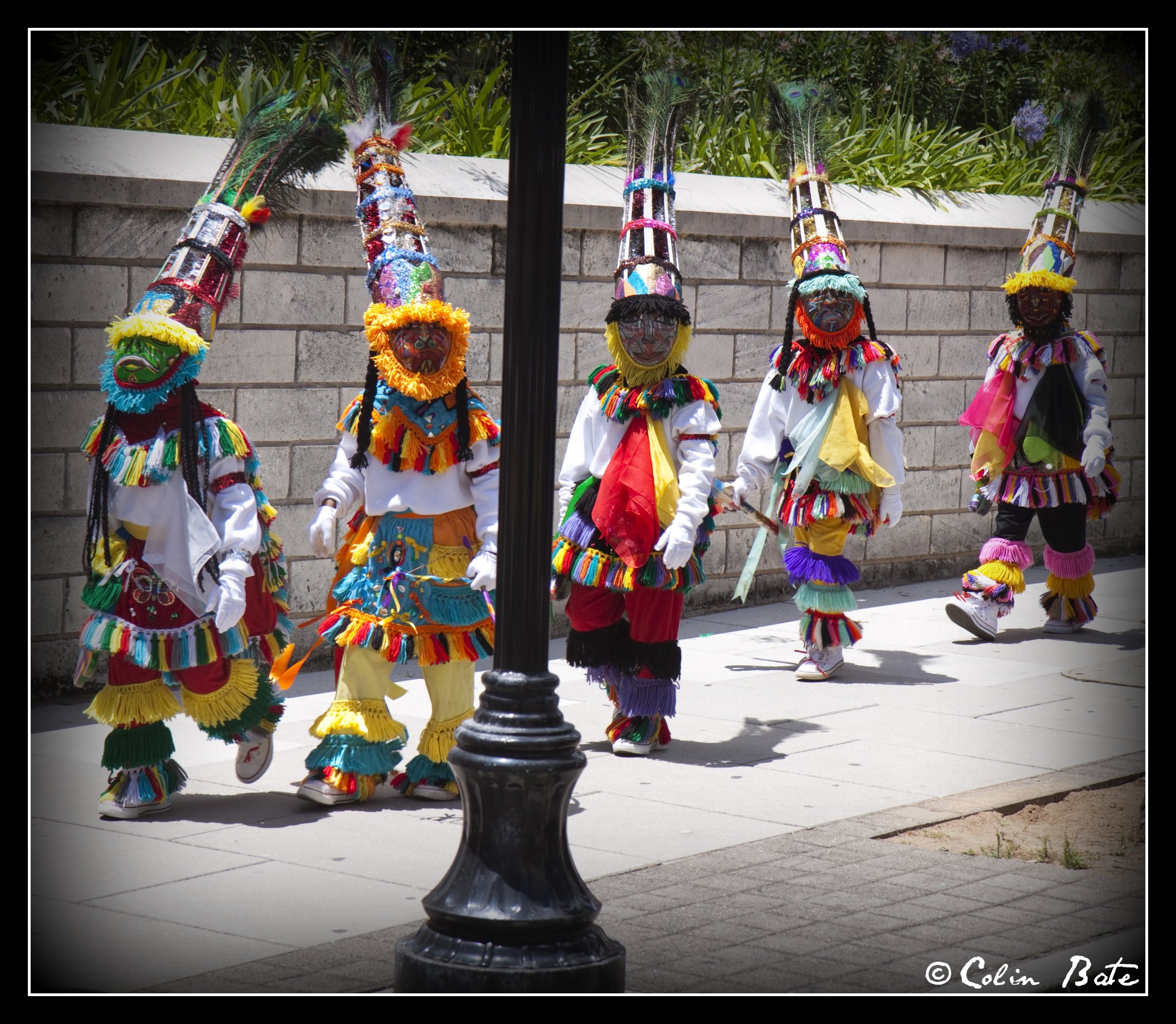 Gombeys on parade