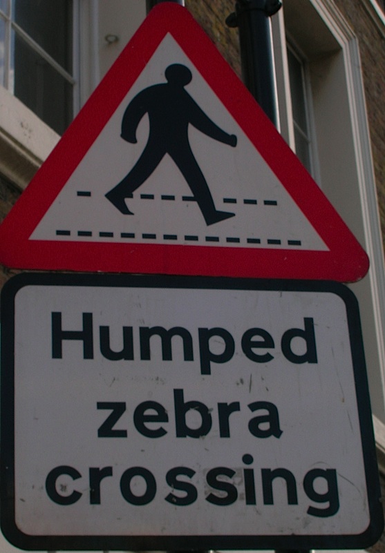 Humped zebra crossing