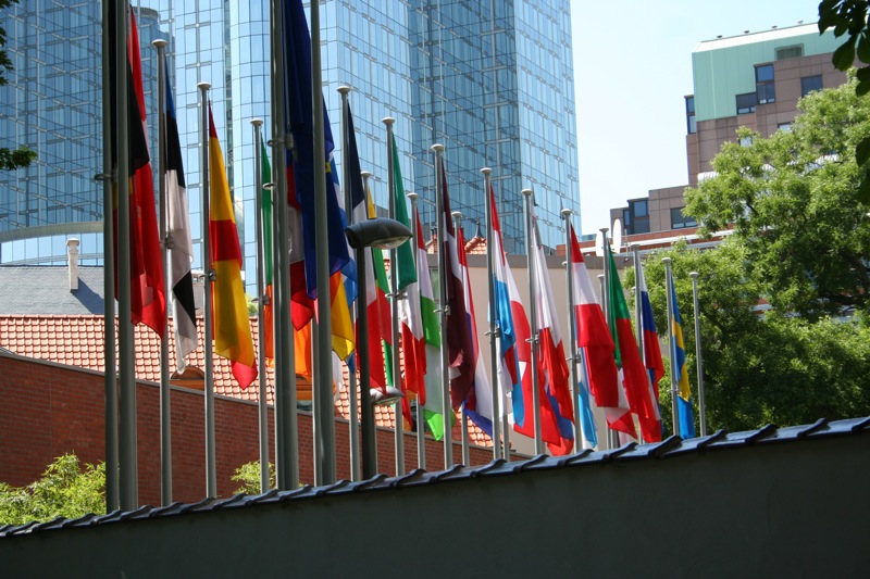 Member flags
