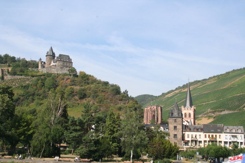 More Rhine landscape
