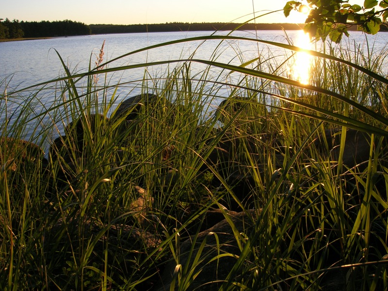 Morning at the lake