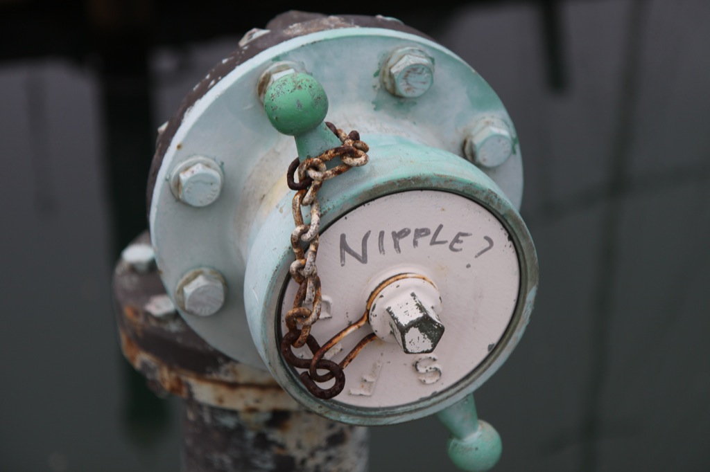 Nipple?