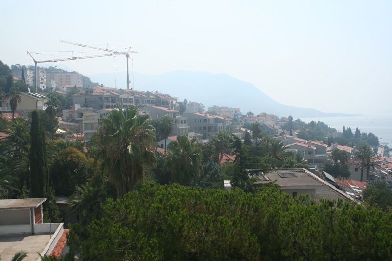 Out my window
