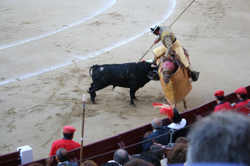 Picador