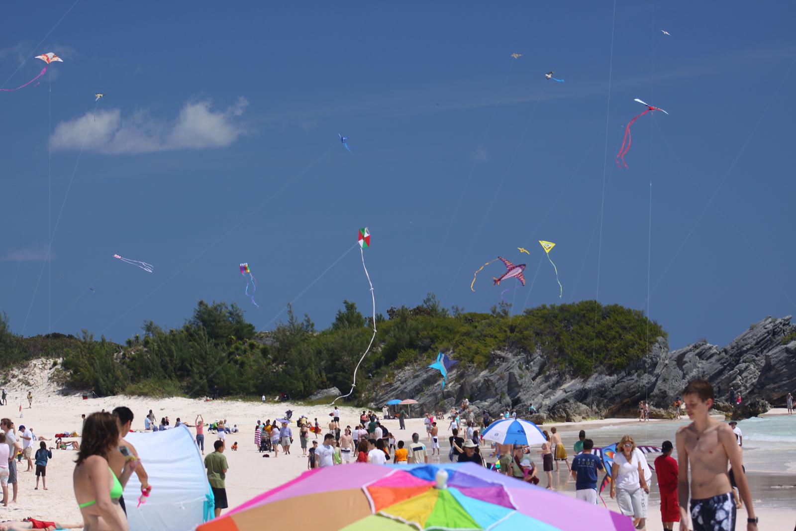 Plethora of kites