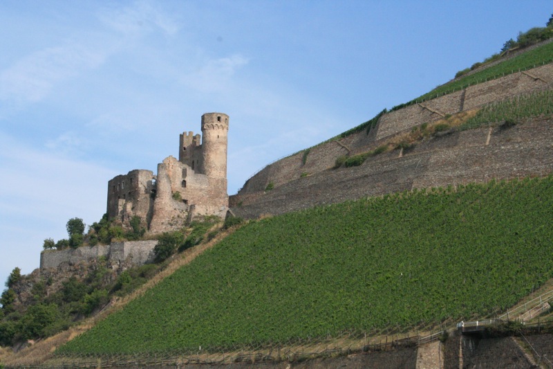 Rhine tour begins