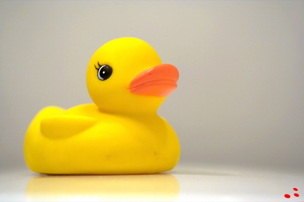 Rubber duckie