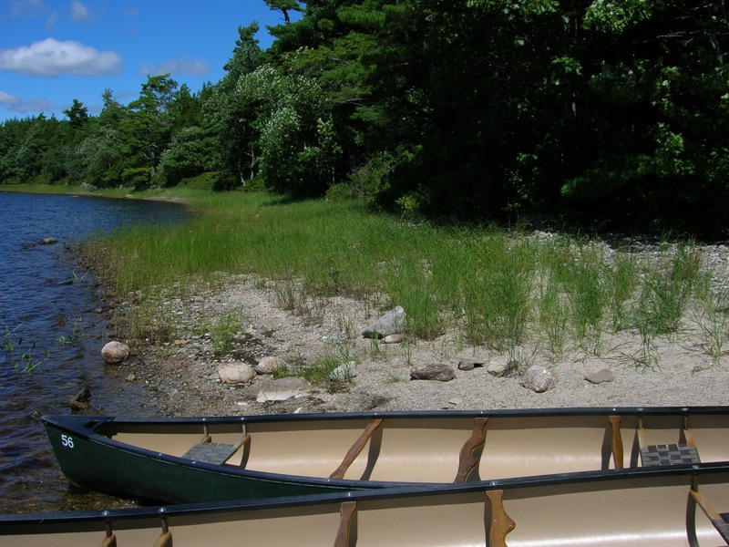 Shoreline