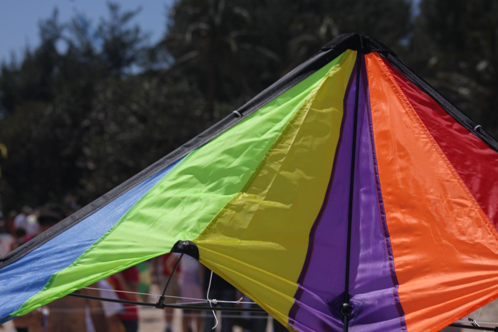 Sport kites