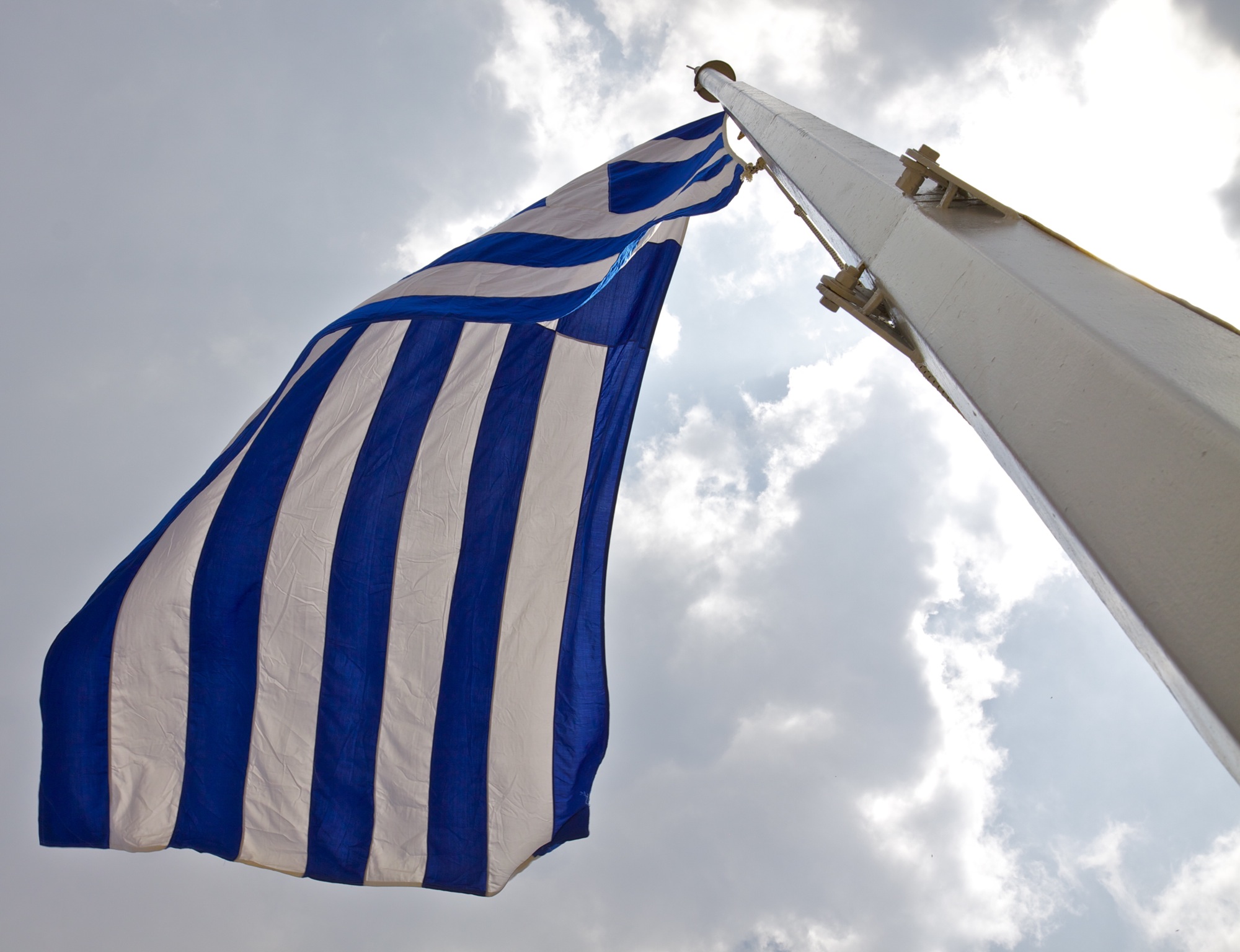 The Blue-White