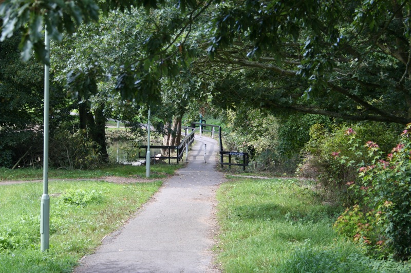 The Bridge