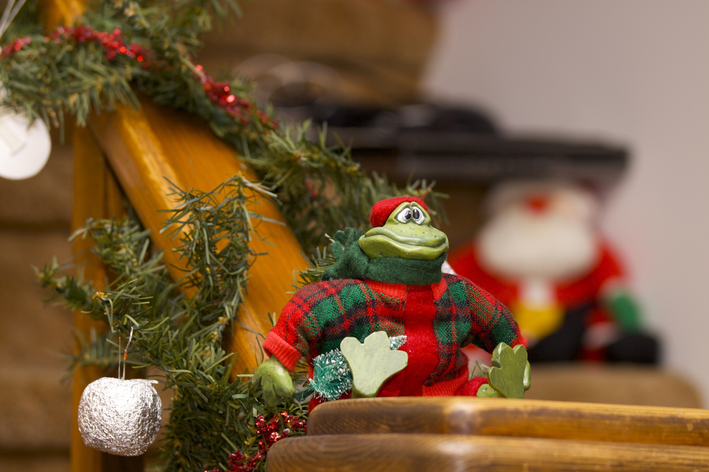 The Christmas frog
