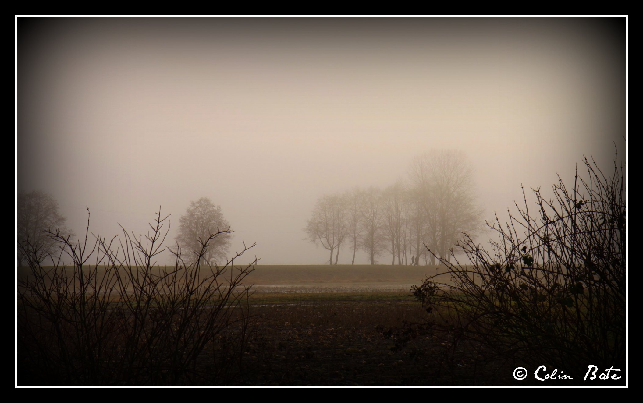 The Mist