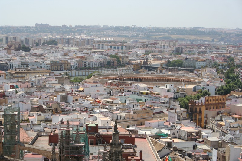 Toros from above