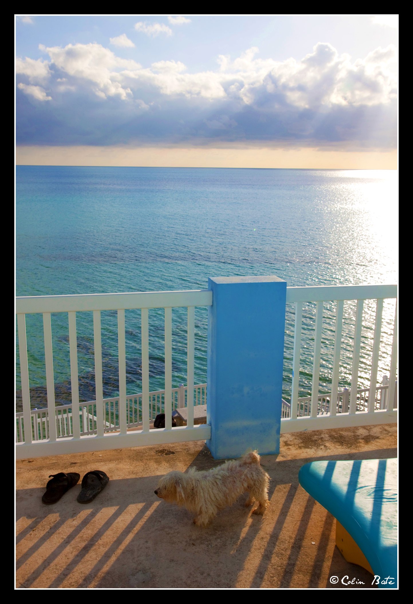 Tough life